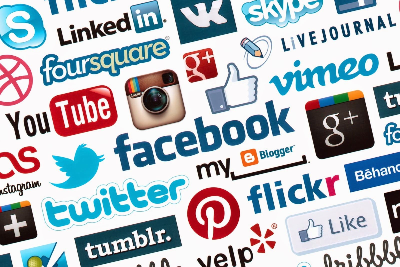 Social Networking Services